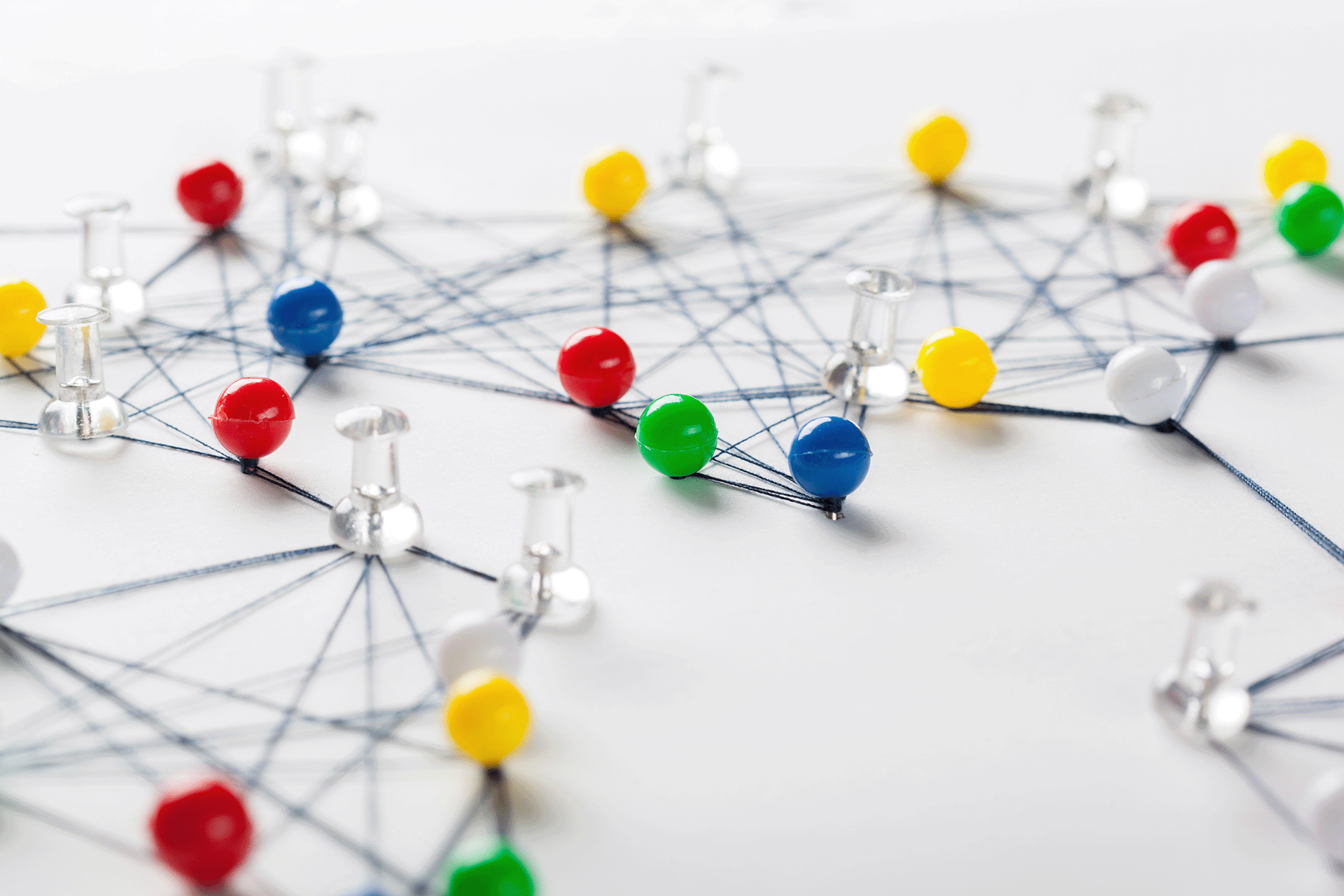 Backlink Building